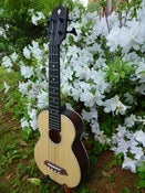 Image of Kamoa BASS with deluxe padded bag