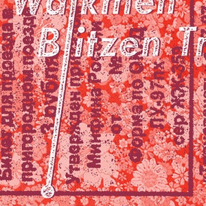 Image of The Walkmen