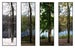 Image of Four Seasons