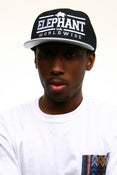 Image of Worldwide Snapback Gray