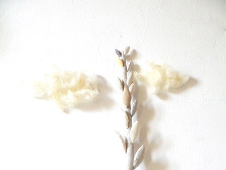 Image of cocon and the beanstalk