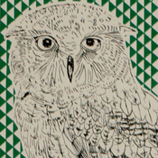 Ty Owl 