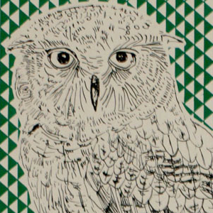 Image of Ty Owl 