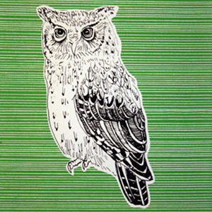 Image of Von Owl 
