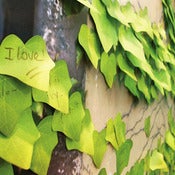 Image of Appree Ivy Post-Its