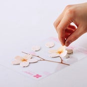 Image of Appree Cherry Blossom Post-Its