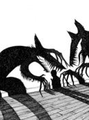 Image of The Shadows Dance