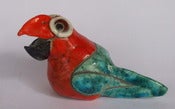 Image of King Parrot