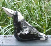 Image of Magpie