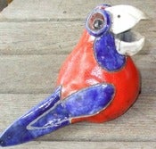 Image of Rosella