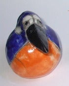 Image of Kingfisher