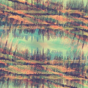 Image of Ferriswheel. 296