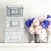 Image of Galvanised Boxes