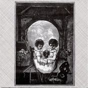 Image of Newton / Sick Llama split 7"
