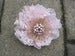 Image of The Elinor Clip