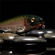 Image of Wood Lunker Punker