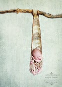 Image of Cocoon Sling Photography Prop