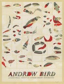 Image of Andrew Bird
