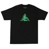 Image of 4/20/12
