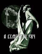 Image of Angel T-Shirt