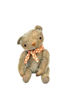 Image of MARCUS the OLD WORN BEAR