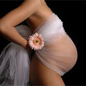 Image of 1:1 Running a Maternity & Newborn Photography Business