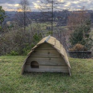 Image of Deluxe Hedgehog House
