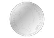 Image of Coin Mirror