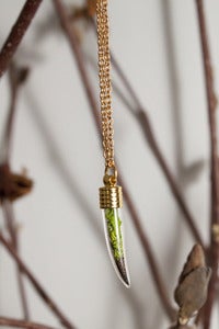 Image of Tusk Terrarium Necklace