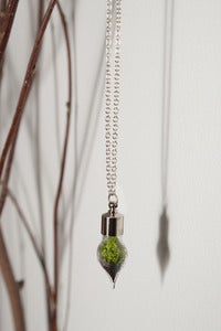 Image of Terrarium Teardrop Necklace