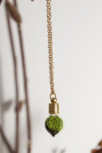 Image of Terrarium Heart Necklace