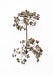 Image of Nodes<br><span style="font-weight:normal"><em>by Francis Ooi</em></span>