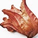 Image of Flame - Spathodea Campanulata<br><span style="font-weight:normal"><em>by Francis Ooi</em></span>