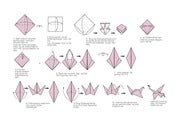 Image of Origami Crane  folding instructions