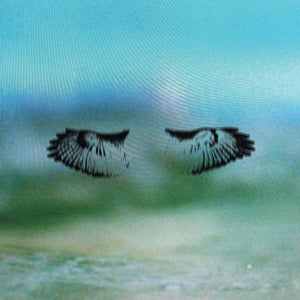 Image of Shoes And Socks Off - Miles Of Mad Water 12"