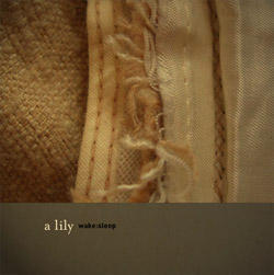 Image of A Lily - wake:sleep