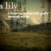Image of A Lily - I Dress My Ankles with God's Sweetest Words [Parcel EP]