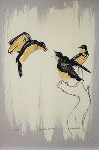 Image of Birds, Bees, & Hunger 12.5x19 Limited Edition One Color Screenprint with Bleach