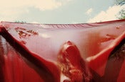 Image of Red Scarface 36 x 24