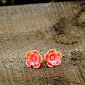 Image of Sail Away - Coral Blooming Studs
