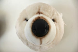 Image of Trophée ours blanc ♥