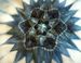 Image of Indigo Mandala workshop-online
