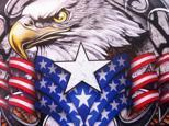 Image of American Pride 