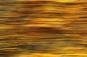 Image of Autumn on His Way