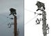 Image of Power Eagle $15