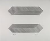 Image of untitled 2012_04_15 (two cubic forms)