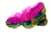 Image of Fancy Peacock Barrette
