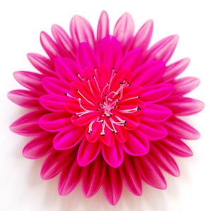 Image of Ruby Tuesday