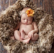 Image of Wooly Lamb Faux Fur - Brown  (18"x30") SMALL