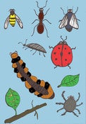 Image of I love Bugs!